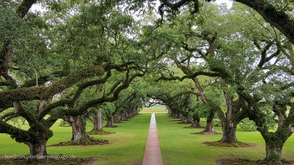 Ein Blick entlang der Eichenallee auf das historische Plantagenhaus, ein atemberaubender Anblick auf Oak Alley.