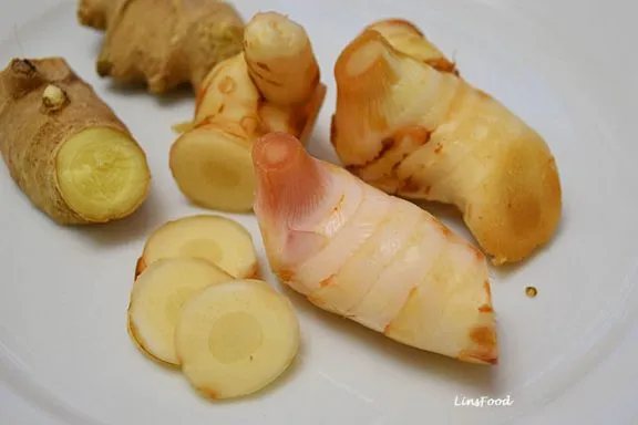 Ein einzelnes Stück Galgantwurzel, das seine Textur und Farbe zeigt