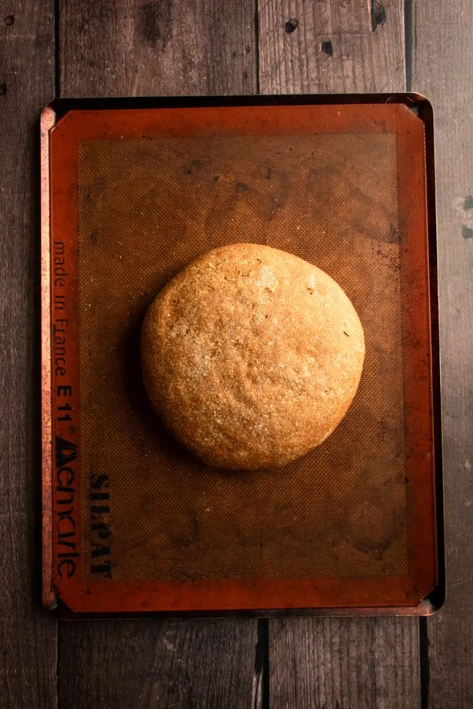 Ein gebackener runder Laib mit dunklem Roggenmehl auf einem Backblech.