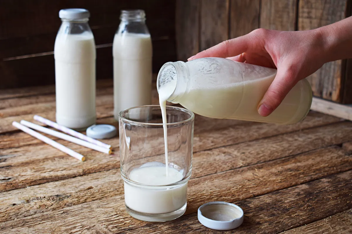 Ein Glas erfrischender Kefir, ein probiotisches Milchgetränk, das für seine gesundheitsfördernden Eigenschaften geschätzt wird und aus fermentierter Milch hergestellt wird.