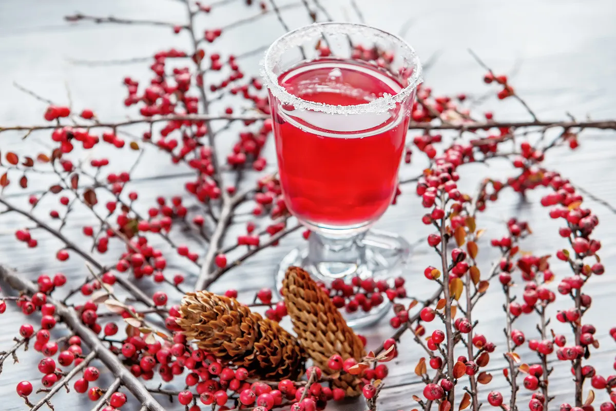 Ein Glas leuchtend roter Mors, ein erfrischendes Beerensaftgetränk, umgeben von frischen Preiselbeeren, Johannisbeeren und Himbeeren.