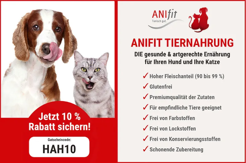 Ein Gutscheincode für AniFIt Tierfutter wird auf einem Smartphone angezeigt, mit dem Fokus auf Sparen