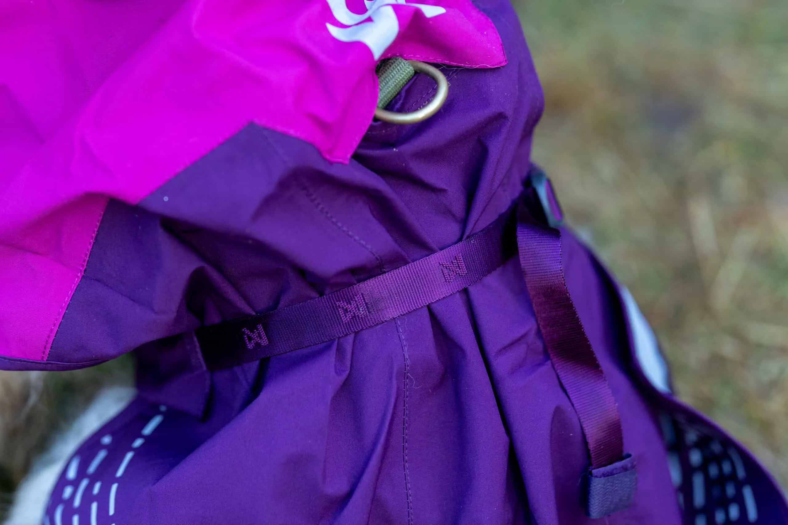 Ein Hund in einem lila Fjord Raincoat von Non-stop dogwear steht draußen, der Regenmantel schützt seinen Rücken und einen Teil der Beine.