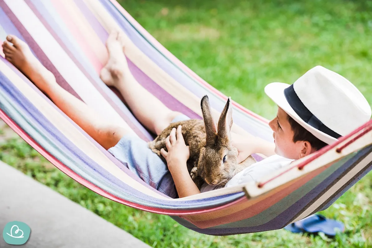 Ein junger Mann liegt in einer Hängematte und hält ein Kaninchen im Arm.