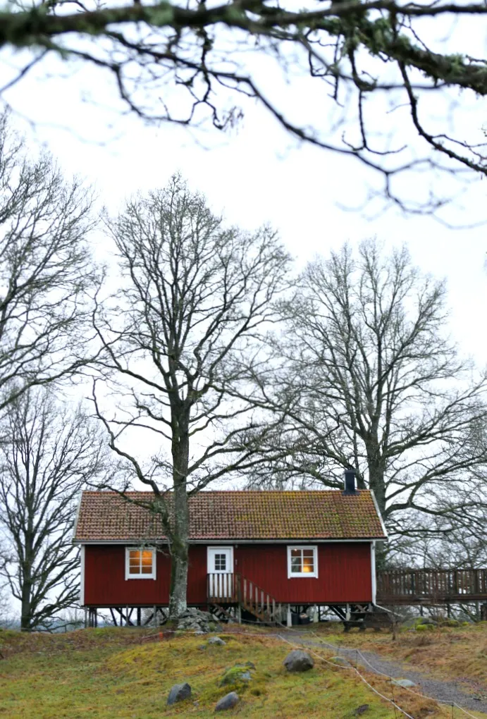 Ein Kind mit einer Tasse Punsch am Fenster