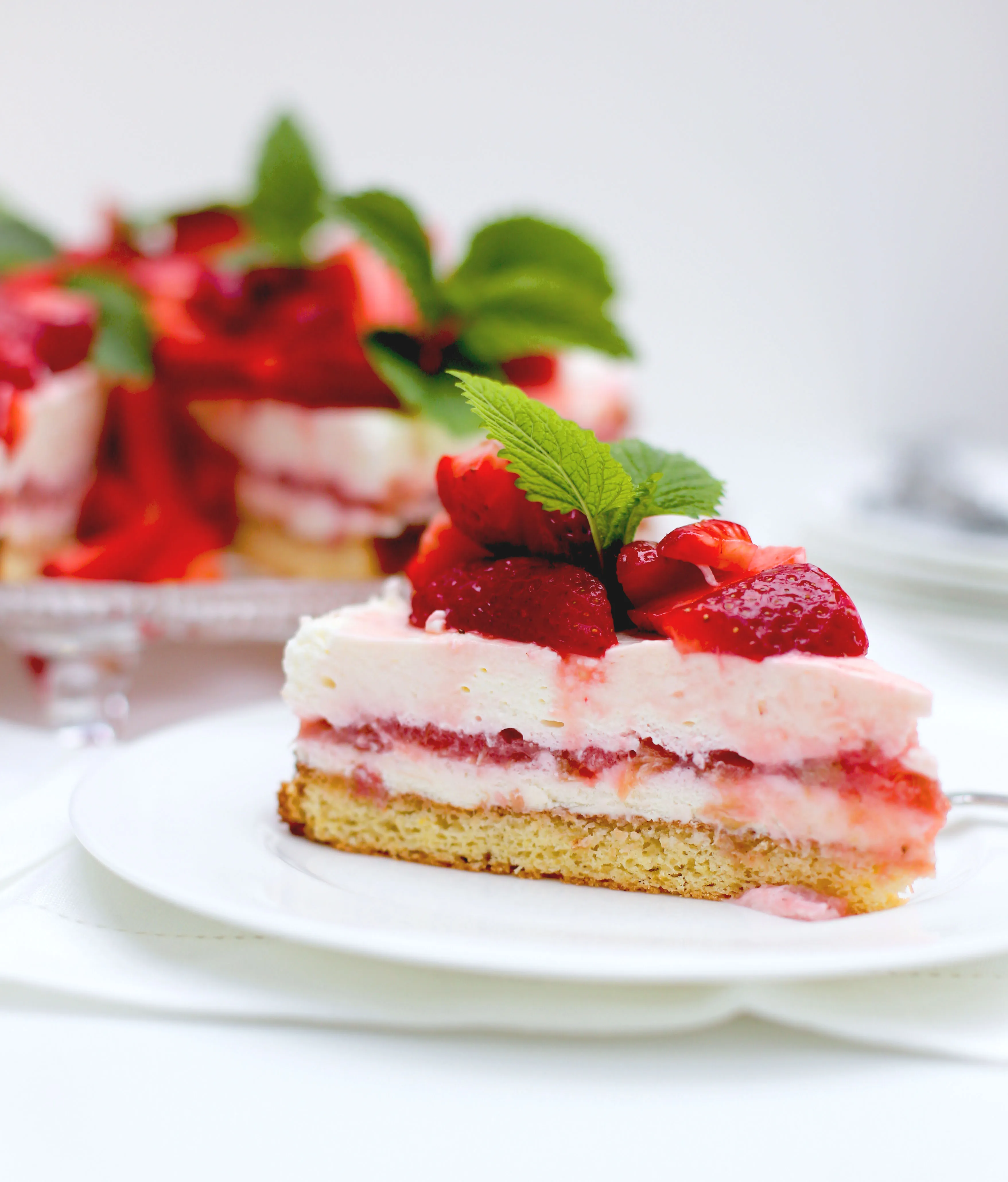 Ein köstliches Stück Rhabarber Käse Sahne Torte, schichtweise aufgebaut mit Biskuit, Creme und Kompott