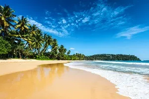 Ein malerischer Strand in Sri Lanka mit Palmen, perfekt für entspannte, warme Ferien im Dezember