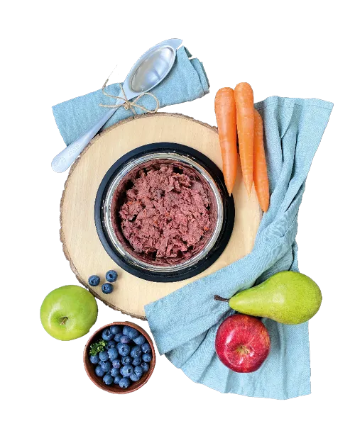 Ein Napf gefüllt mit frischen, natürlichen Zutaten für eine gesunde Hundeernährung