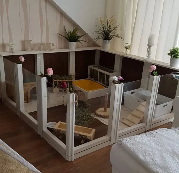 Ein stilvolles Kaninchengehege in einem Wohnzimmer
