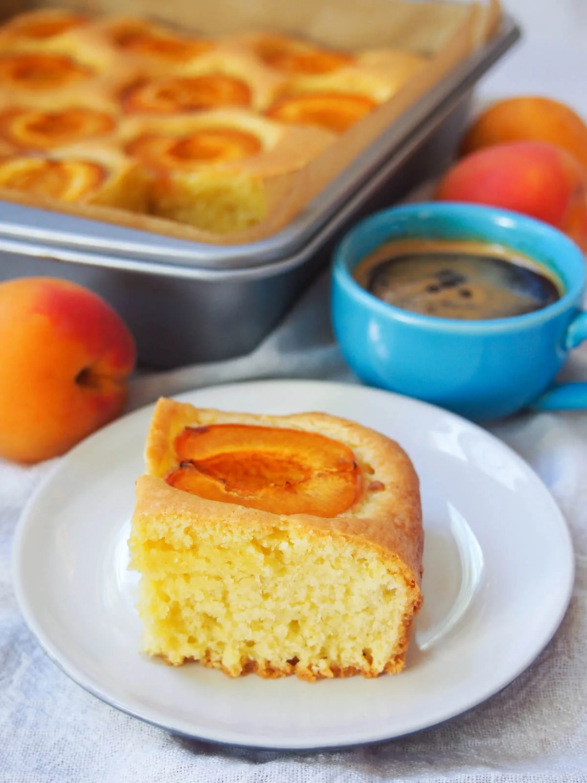 Ein Stück Marillenkuchen auf einem Teller, mit einer Tasse Kaffee im Hintergrund und Aprikosen neben der Backform