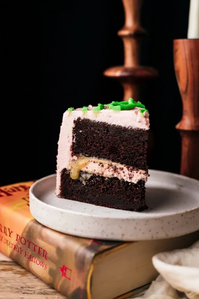 ein Stück veganer Schokoladenkuchen auf einem Teller