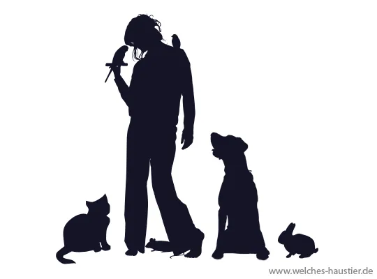 Ein symbolisches Bild, das die Vielfalt der Haustiere und die sorgfältige Entscheidung bei der Wahl des passenden tierischen Begleiters darstellt, thematisch passend zu haustier.de.