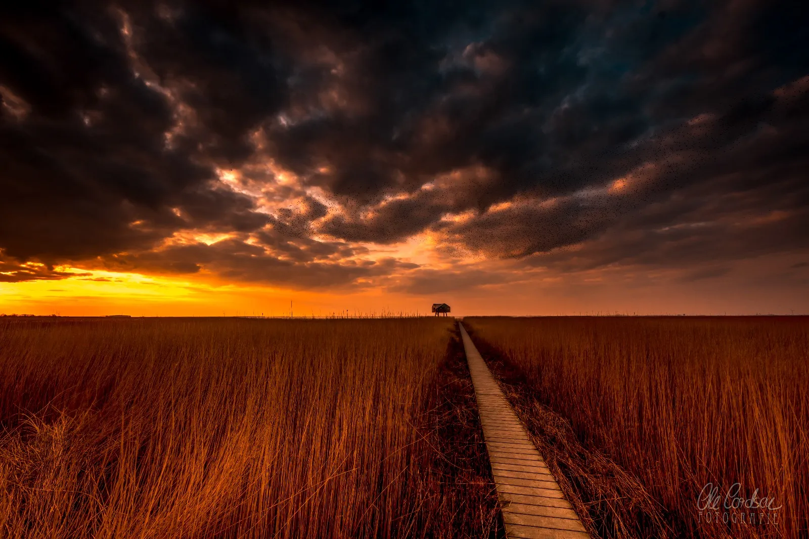 Ein Teller dampfende Insett Bohnen mit Kochmettwurst und Apfelmus, ein klassisches ostfriesisches Bohnen Rezept für kalte Tage.