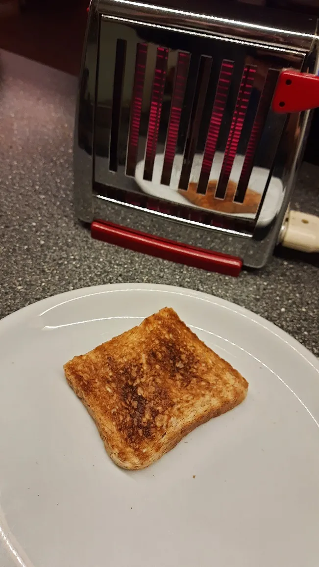 Ein Toast im Wendetoaster