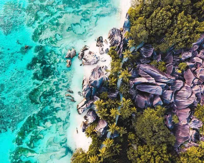 Ein Traumstrand auf den Seychellen mit Palmen, weißem Sand und türkisblauem Wasser – das perfekte Reiseziel im Juli für Badeurlaub.