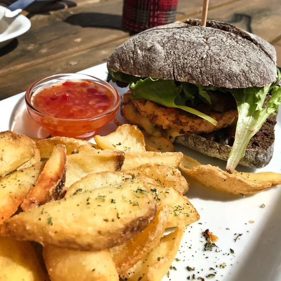 Ein veganer Quinoa-Burger mit Pommes und Salat, angerichtet auf einem Teller