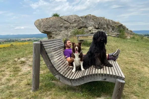 Ein verspielter junger Briard, der in einem Grasfeld steht