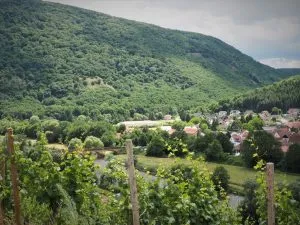 Ein Wein mit provokantem Namen