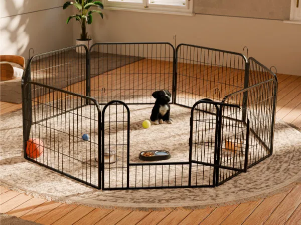 Ein Welpenauslauf aus Stahl bietet Welpen sicheren Platz zum Spielen und Erkunden