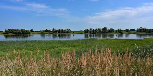 Ein Wohnmobil fährt entlang einer malerischen Landstraße in Norddeutschland