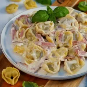 Eine Auswahl an italienischen Gerichten, darunter Pasta, Pizza und Antipasti