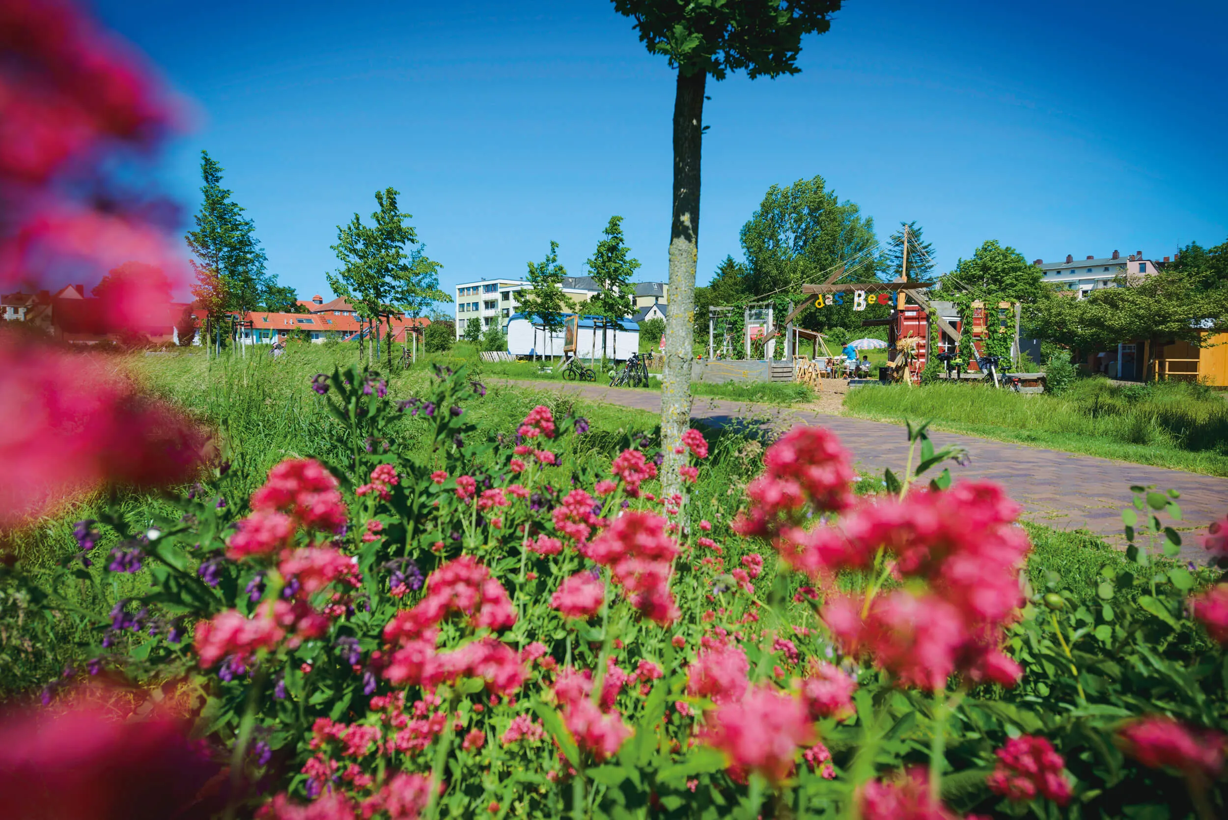 Eine bunte Auswahl an Speisen und Getränken in einem gemütlichen Außenbereich