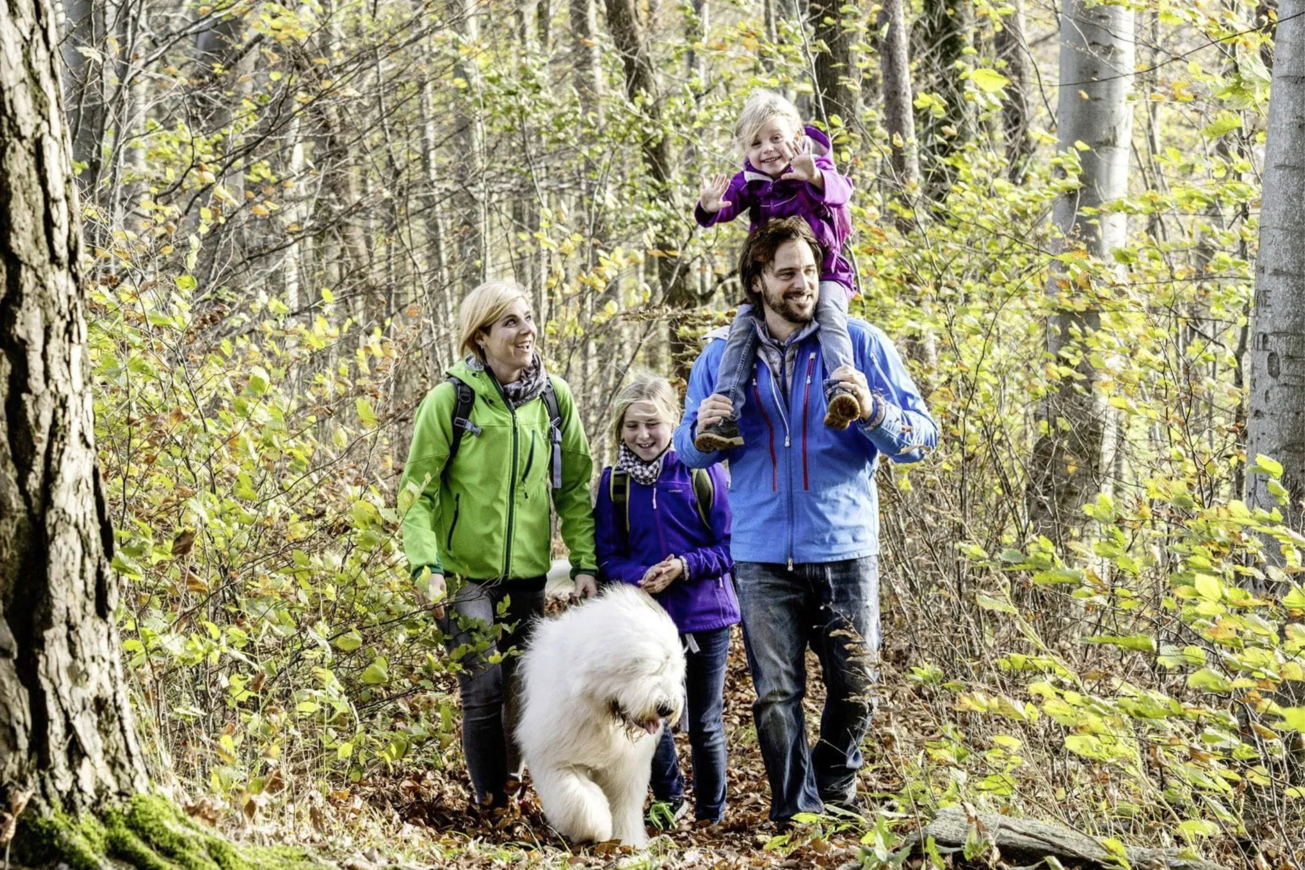 Eine Familie mit ihrem Hund auf einem idyllischen Waldspaziergang rund um das Vier Jahreszeiten am Schluchsee, ideal für gemeinsame Aktivitäten.