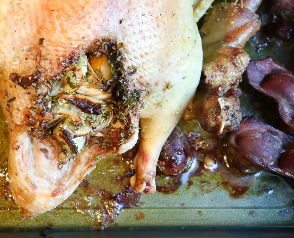 Eine goldbraun gebratene Weihnachtsgans im Ofen, von Bratensaft umgeben.