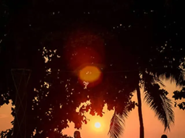 Eine Gruppe lachender Senioren genießt eine Sprachreise am Meer, ideal für Seniorenreisen ab 80 mit Fokus auf Gemeinschaft und Bildung.