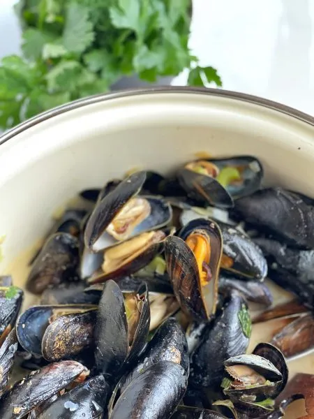 Eine Kochszene mit einer Hand, die frische Miesmuscheln in einen Topf mit anderen Zutaten gibt.