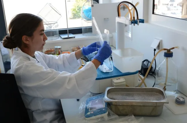 Eine Lebensmitteltechnikerin führt in einem Labor eine Lebensmittelanalyse durch.