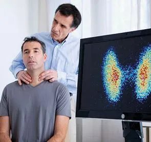 Eine schematische Darstellung der Schilddrüse