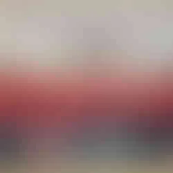 Eintracht Frankfurt bei der Dallas Cup Community Outreach