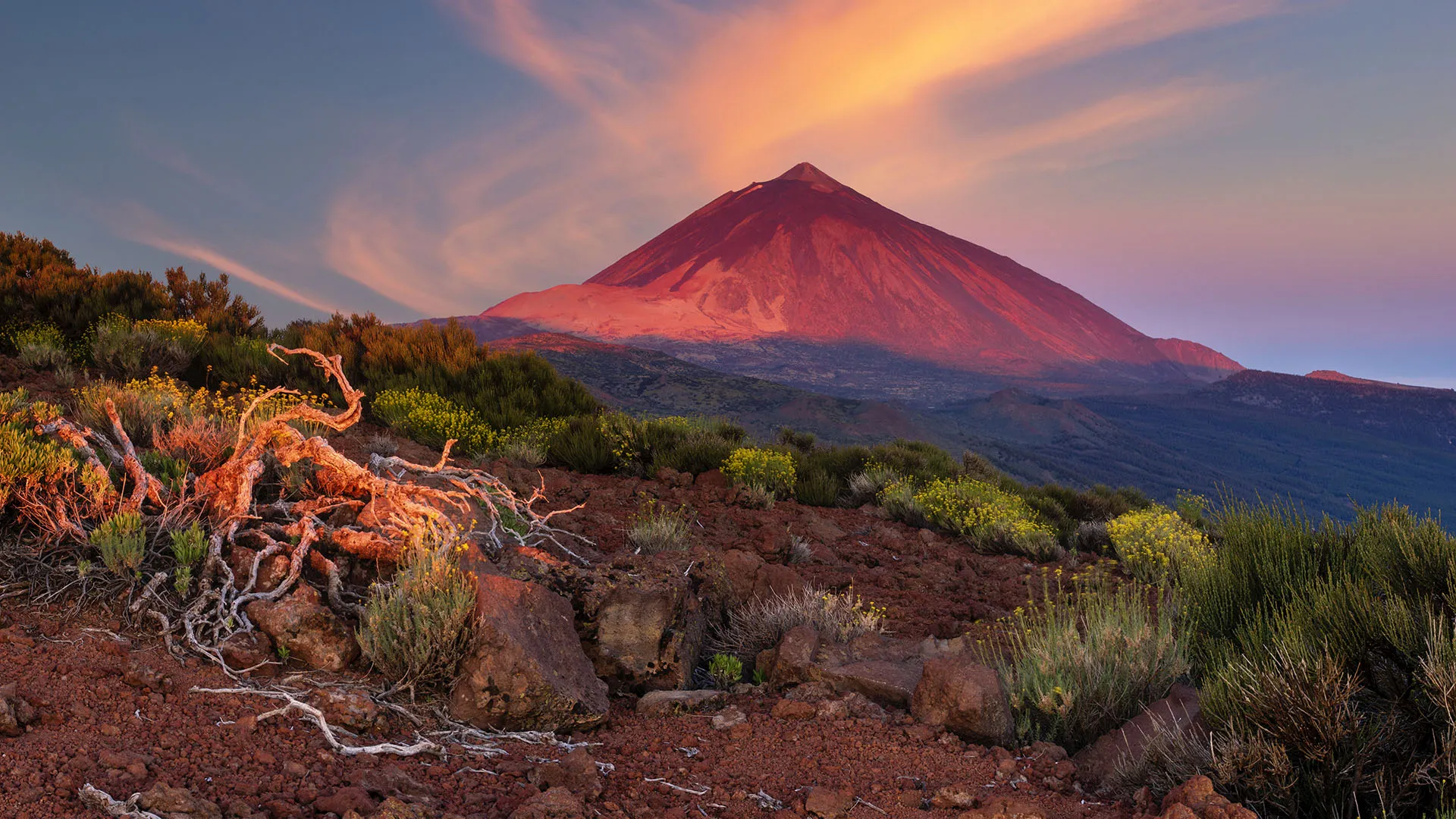 El Teide Teneriffa Vulkanlandschaft Kanaren