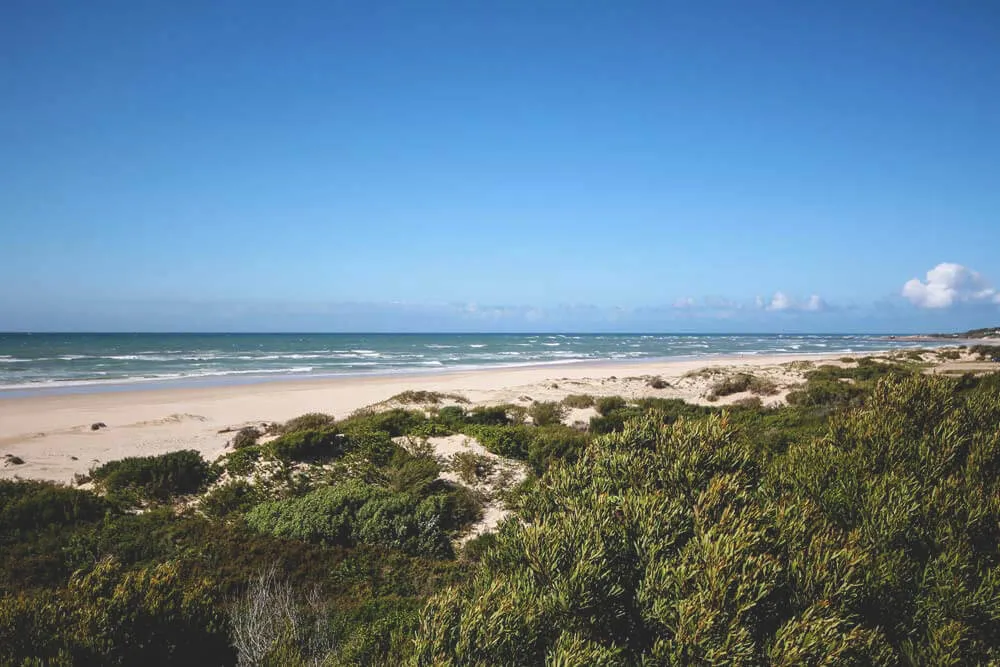 Endlose Sandstrände und perfekte Wellen in Jeffreys Bay, dem Surferparadies an der Garden Route