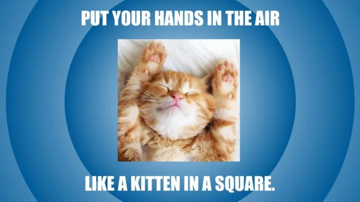 Erstellen von Memes mit Photoshop Elements