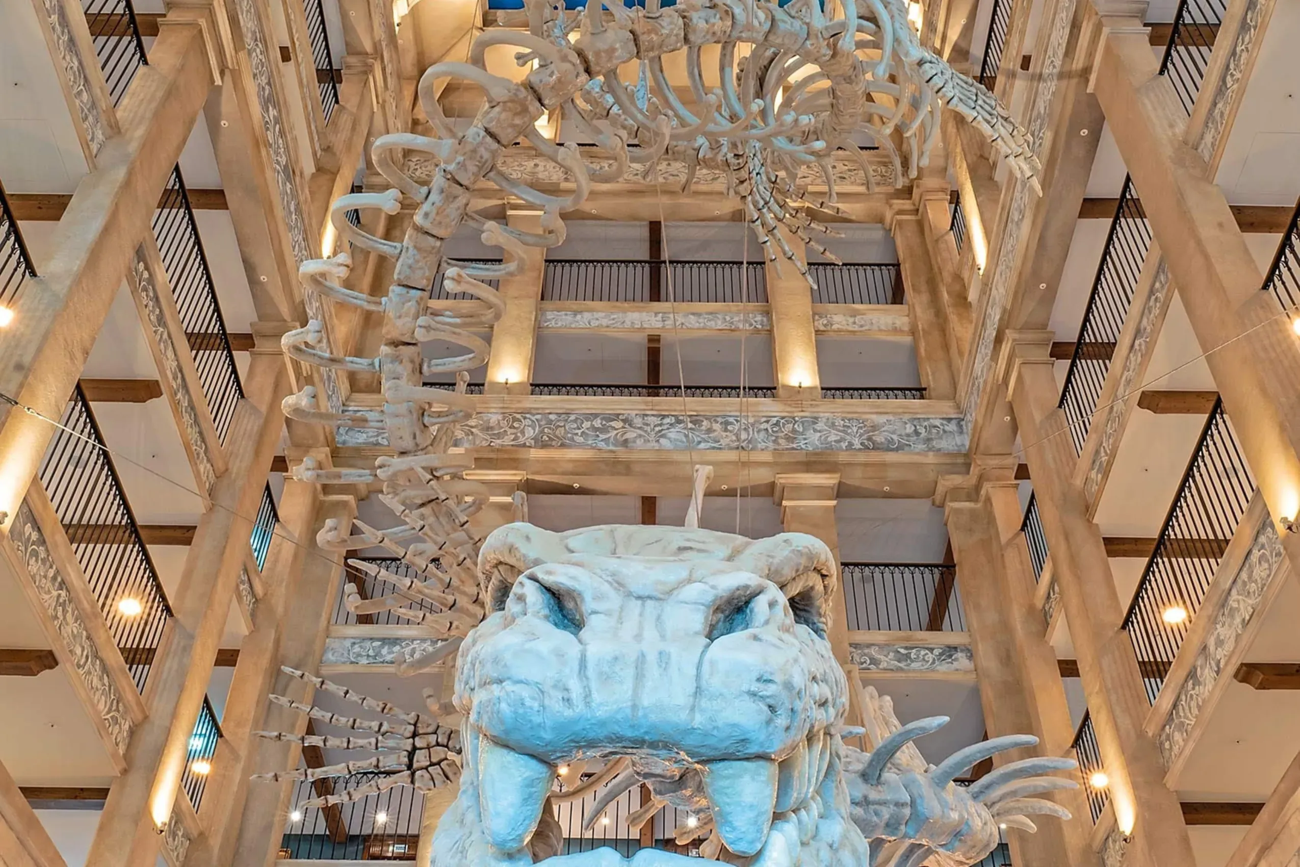 Europa Park in Rust Kronasar Schlangenskelett in Lobby