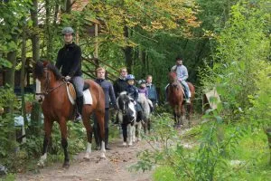 Familie reitet gemeinsam auf Pferden über grüne Wiesen, ideal für einen Familienurlaub auf einem Reiterhof
