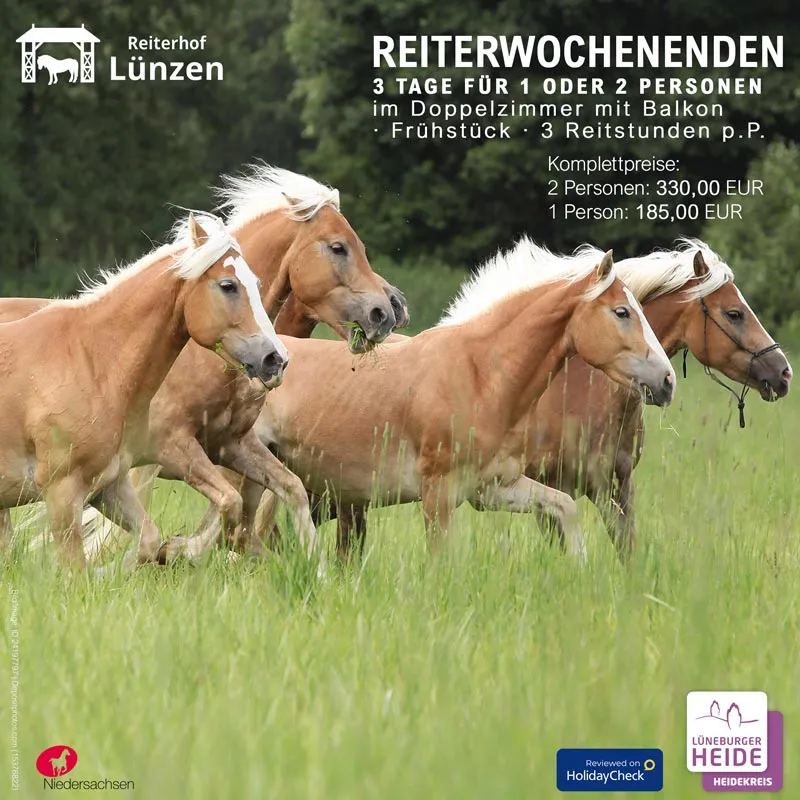 Familien beim Reiterwochenende auf dem Reiterhof Lünzen in der Lüneburger Heide