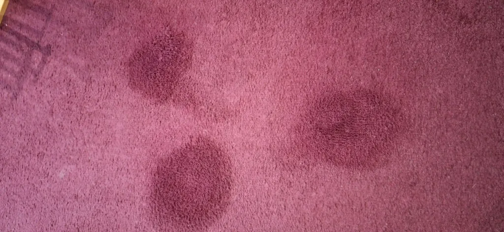 Farbflecken auf Teppichboden vor und nach der Reinigung