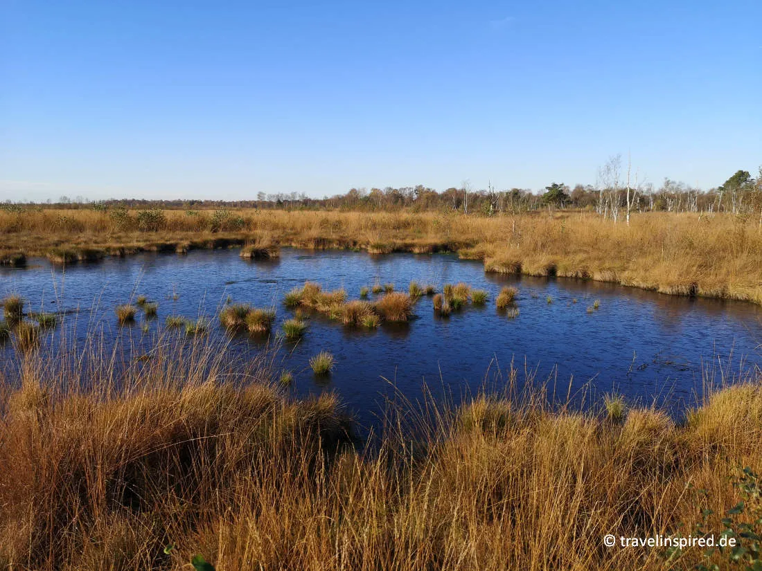 Faszinierende Moorlandschaft Molberger Dose