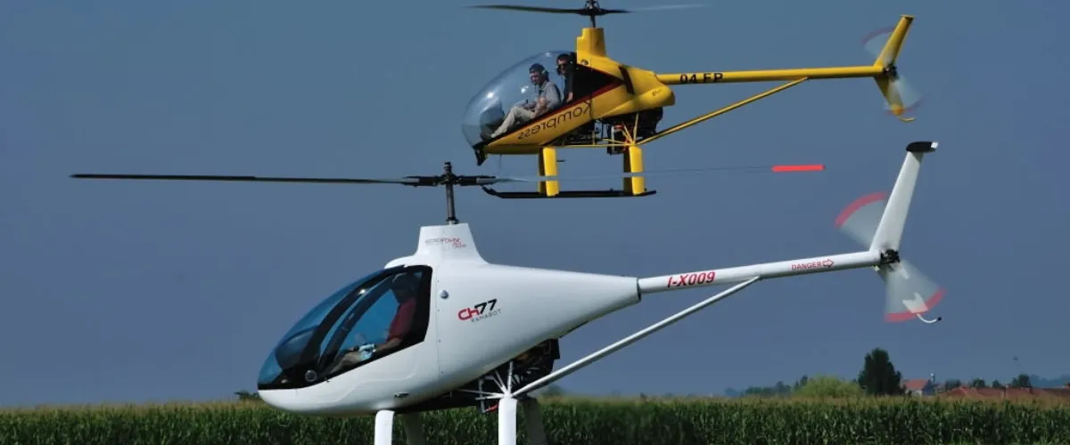 Feiernde Fans während der Fußball-Weltmeisterschaft in Deutschland