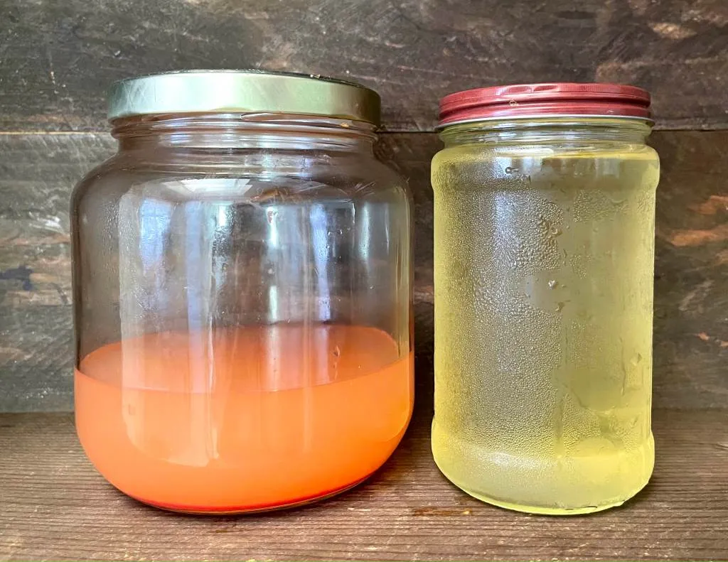 Fermentierter Tomatensaft (links) und Maiskolbenbrühe (rechts)