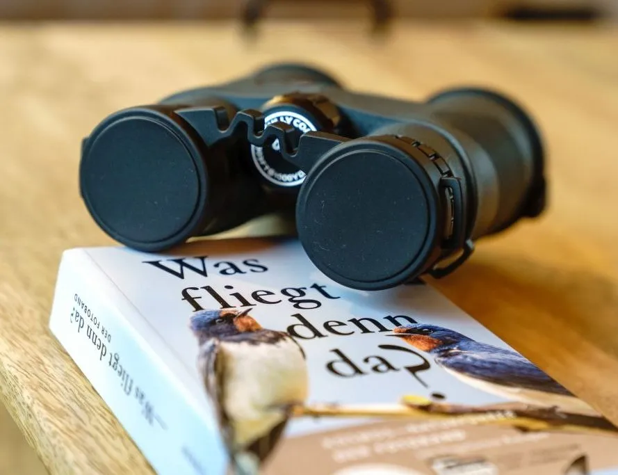 Fernglas bereit für Vogelbeobachtungen