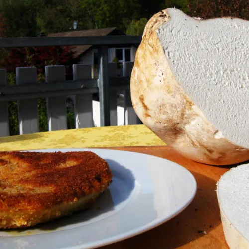 Fertiges Riesenbovist-Schnitzel: Knusprig paniert und goldbraun gebraten, bereit zum Servieren