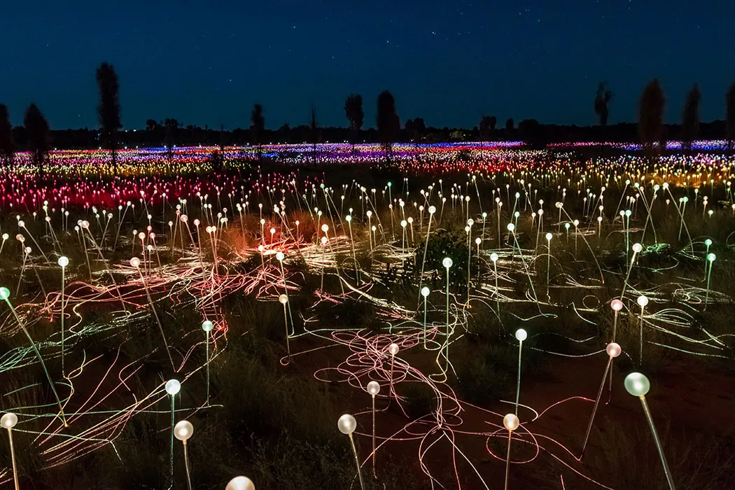 Field of Light am Uluru