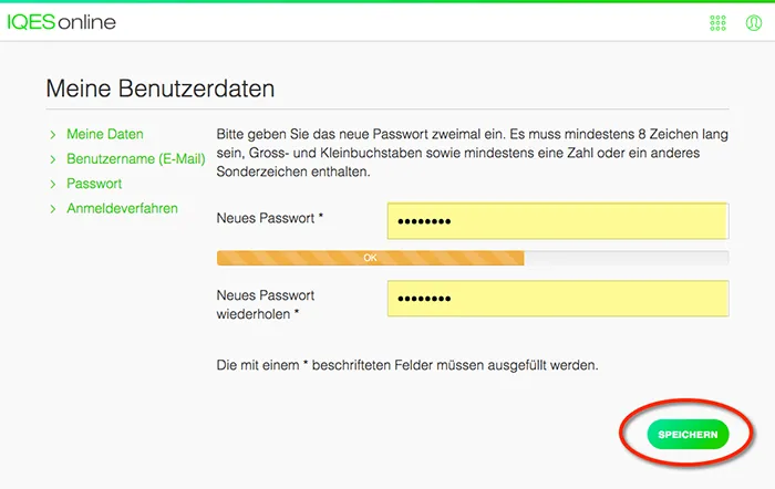 Formular zum Setzen eines neuen Passworts in IQES, mit Feldern zur Eingabe und Wiederholung des neuen Passworts.