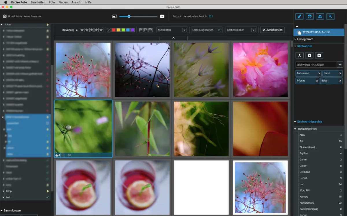 Fotoverwaltung Excire Foto