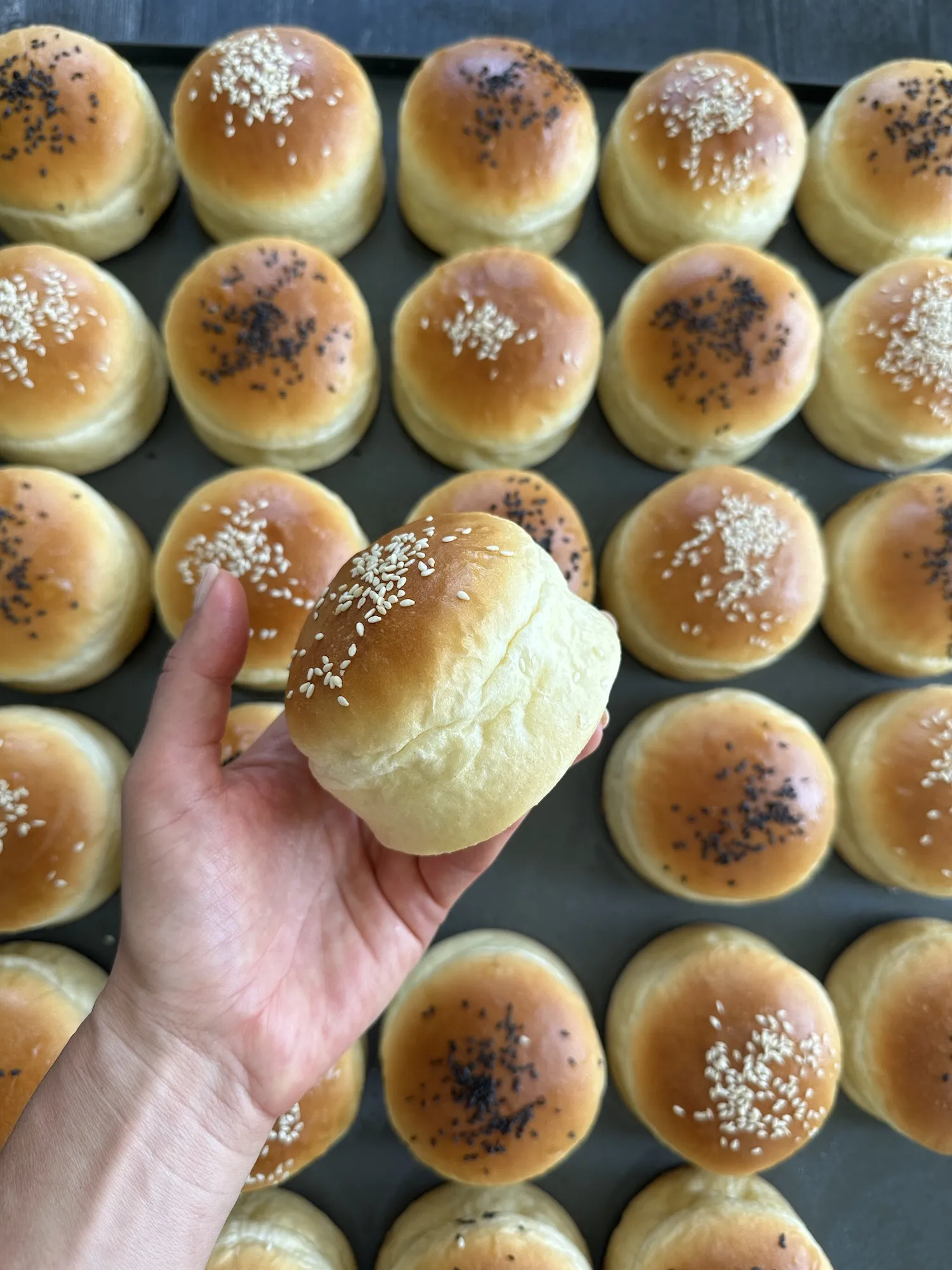 Frisch gebackene, weiche Burger Brötchen