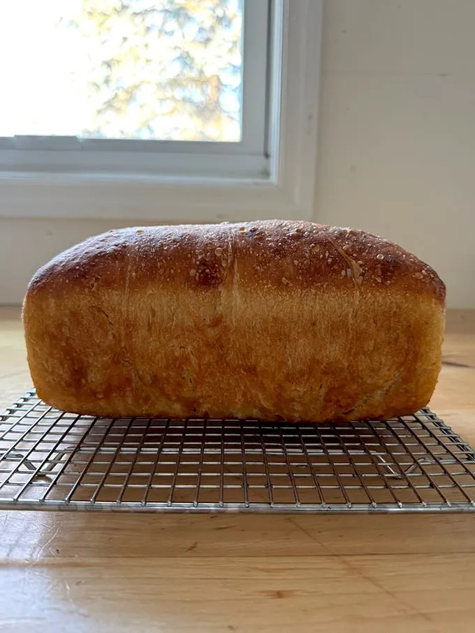 Frisch gebackener goldbrauner Toastbrotlaib aus übrig gebliebenem Pizzateig, bereit für den Toaster
